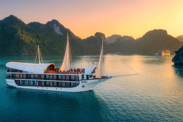 Sena Cruise - Special Summer Deal