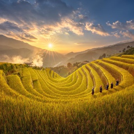 Mu Cang Chai